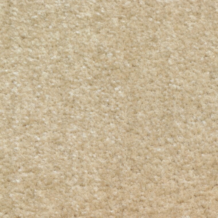 Carpet سميك سيتي — 500