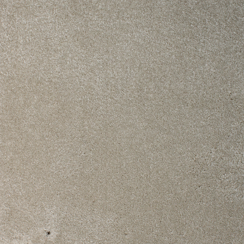 Carpet سميك ديور — 301
