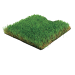 AlSourayia Flooring Product — ALS-P0165