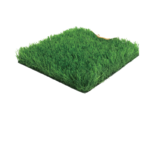 AlSourayia Flooring Product — ALS-P0166
